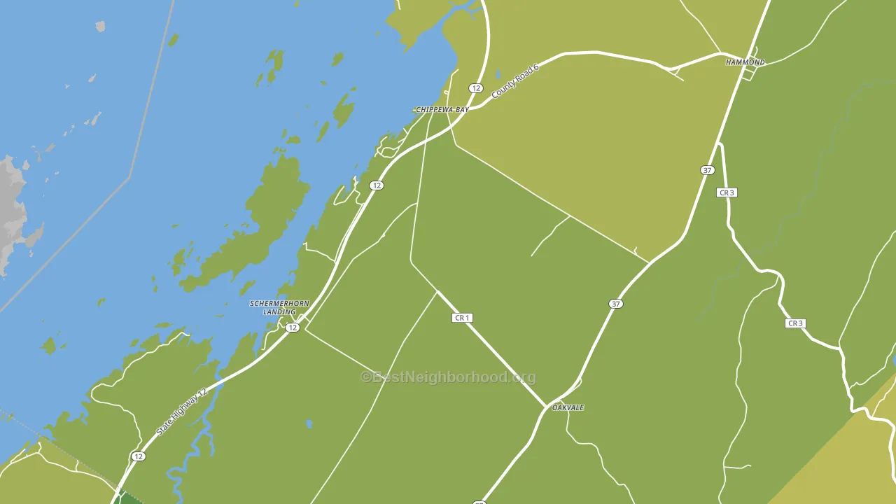 Chippewa Bay, NY block-group voter-turnout map