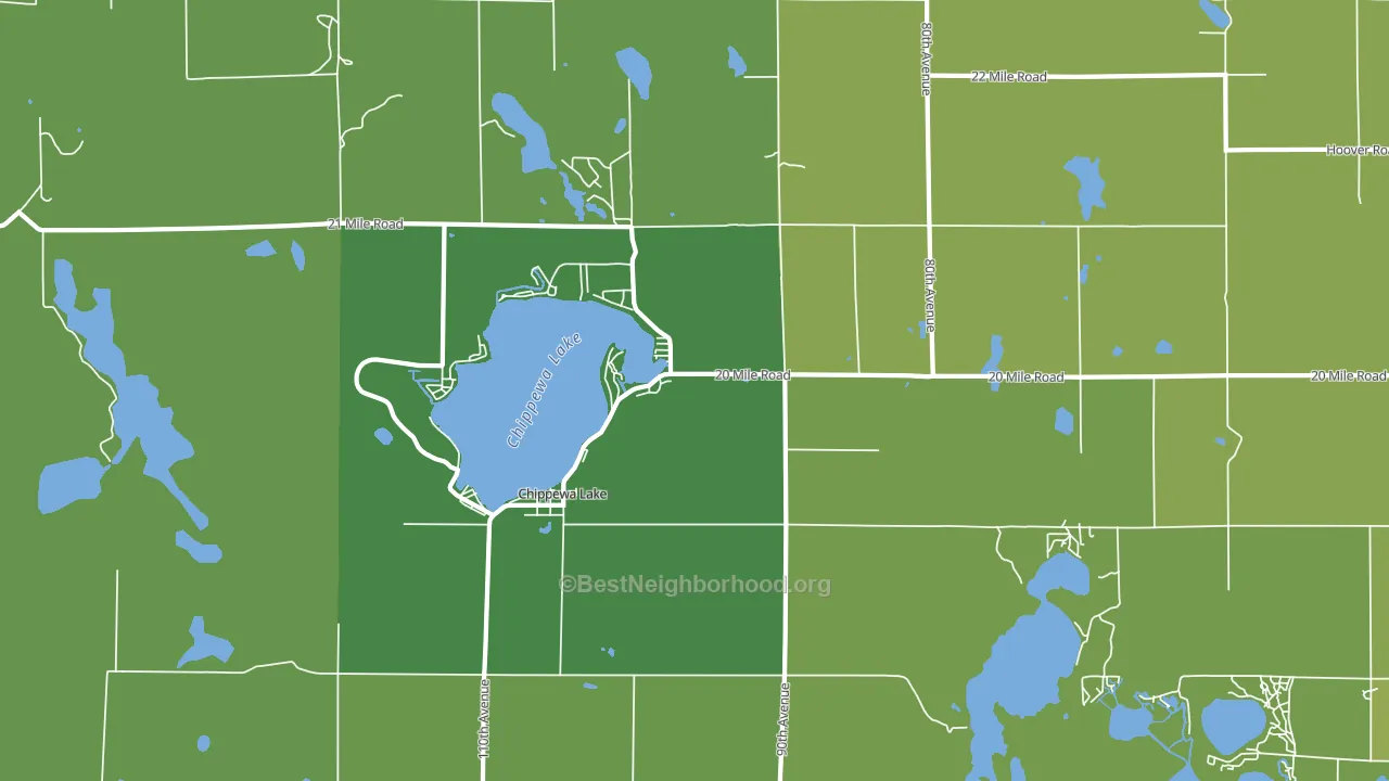 Chippewa Lake, MI block-group voter-turnout map