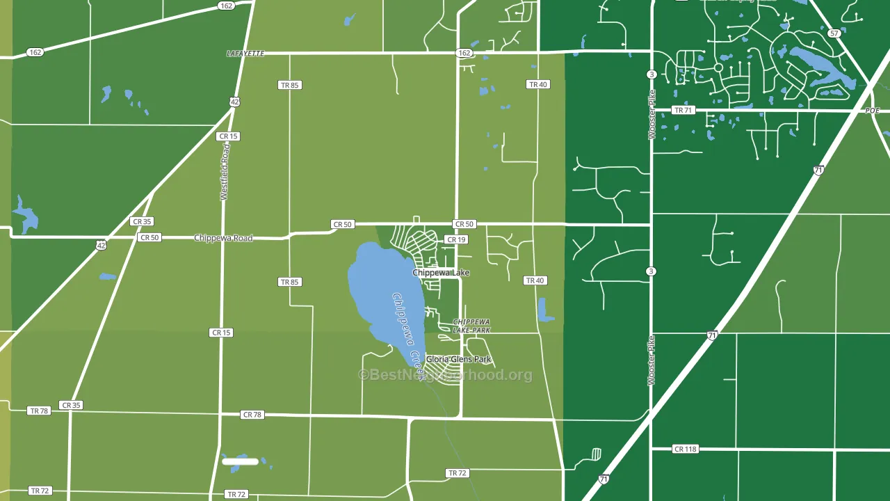 Chippewa Lake, OH block-group voter-turnout map