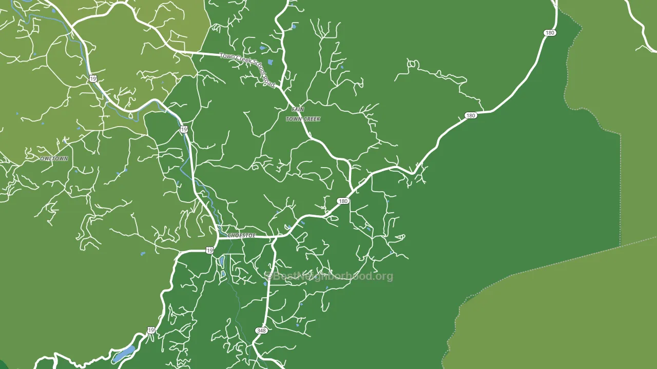 Choestoe, GA block-group voter-turnout map