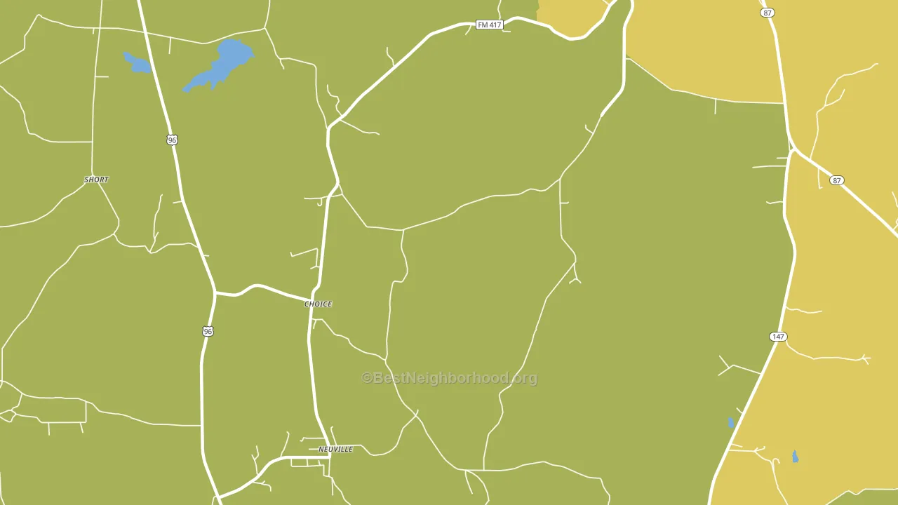 Choice, TX block-group voter-turnout map