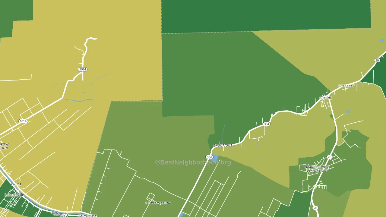 Choupique, LA block-group voter-turnout map