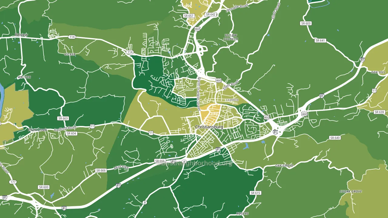 Christiansburg, VA block-group voter-turnout map