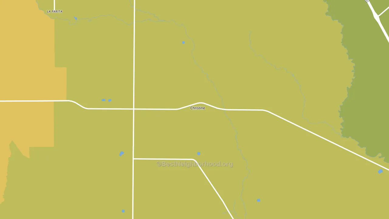 Christine, TX block-group voter-turnout map