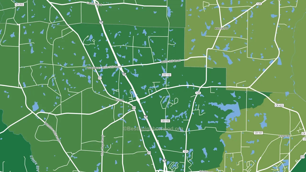 Chula, GA block-group voter-turnout map