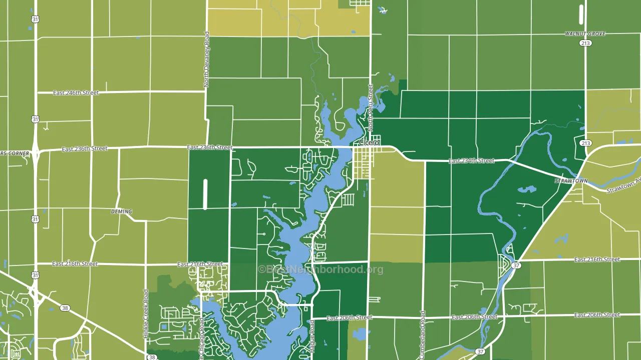 Cicero, IN block-group voter-turnout map