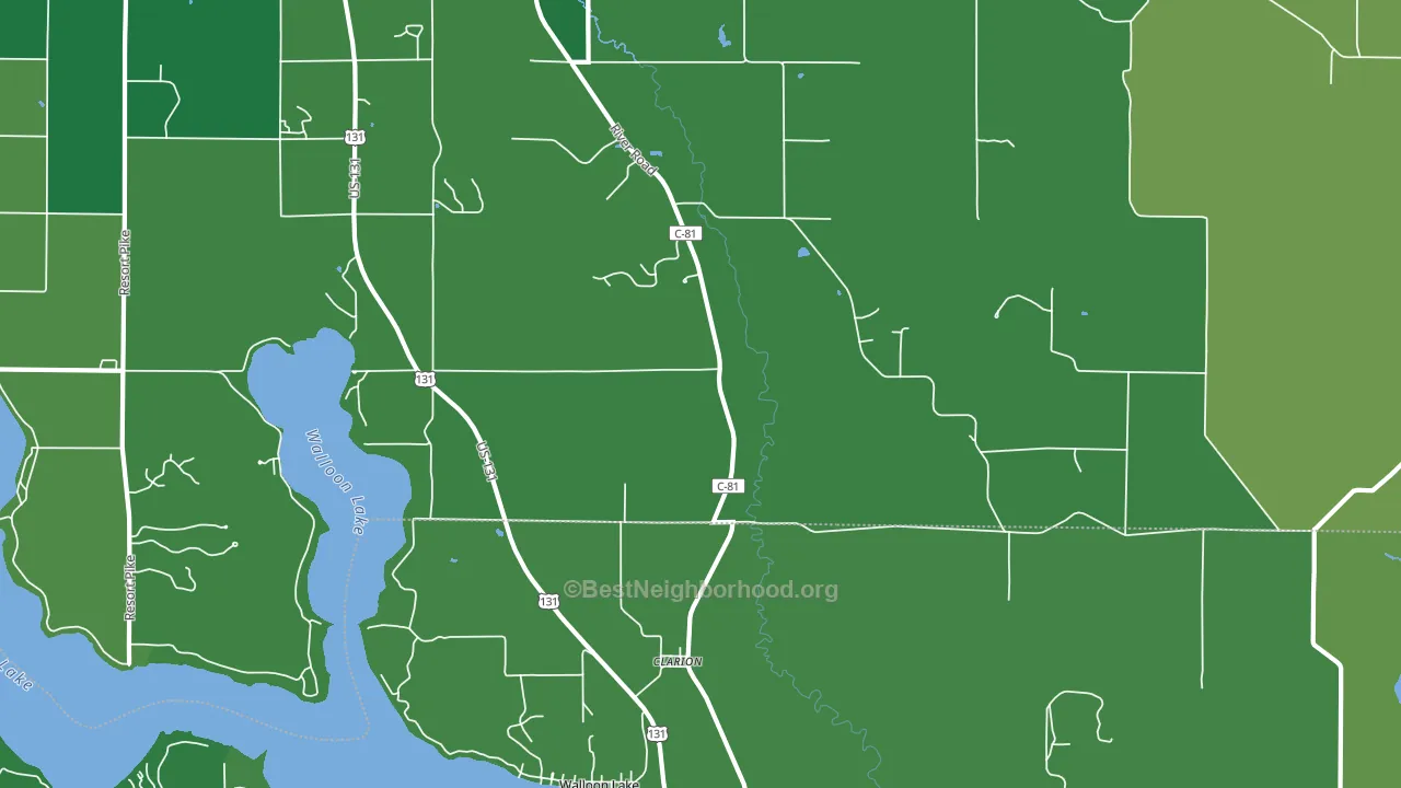 Clarion, MI block-group voter-turnout map
