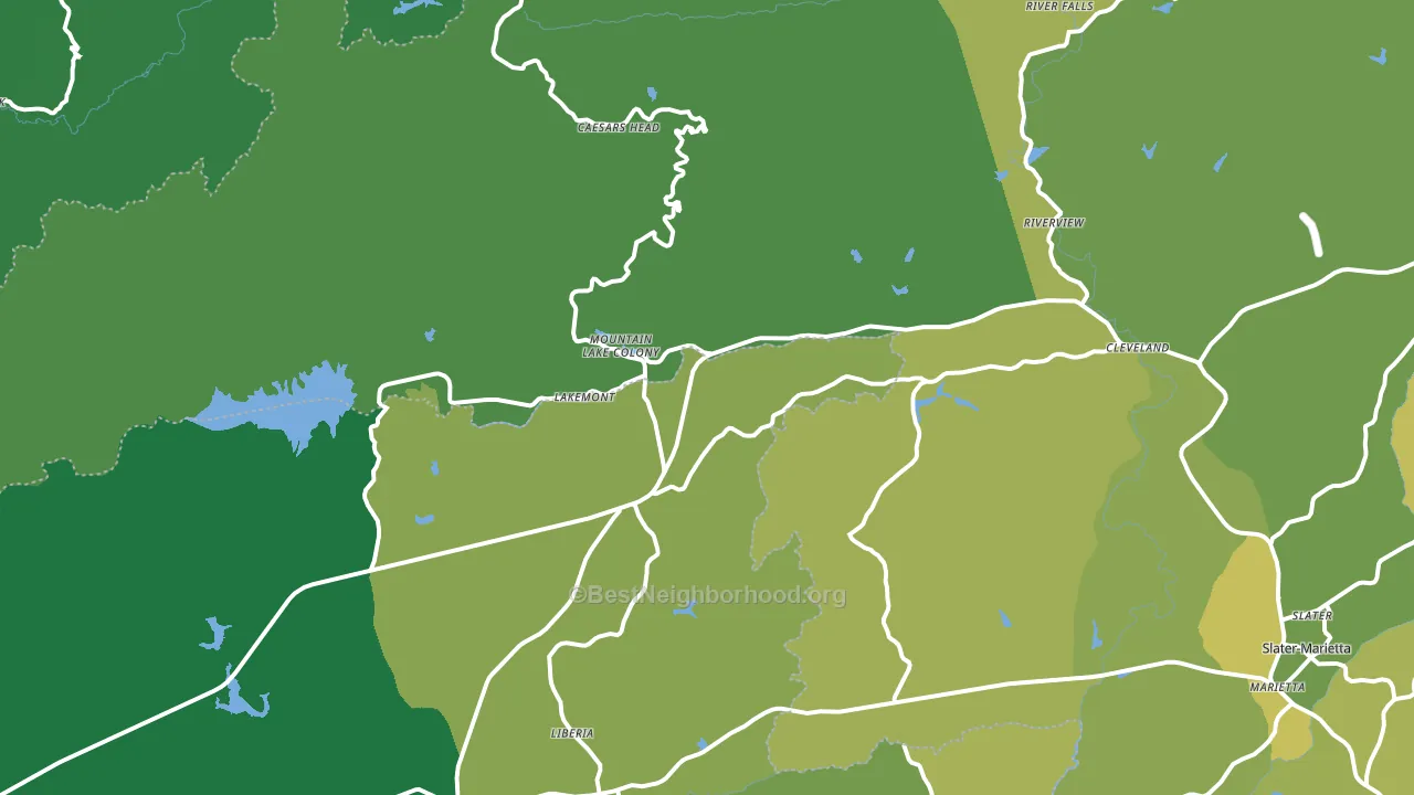 Cleveland, SC block-group voter-turnout map