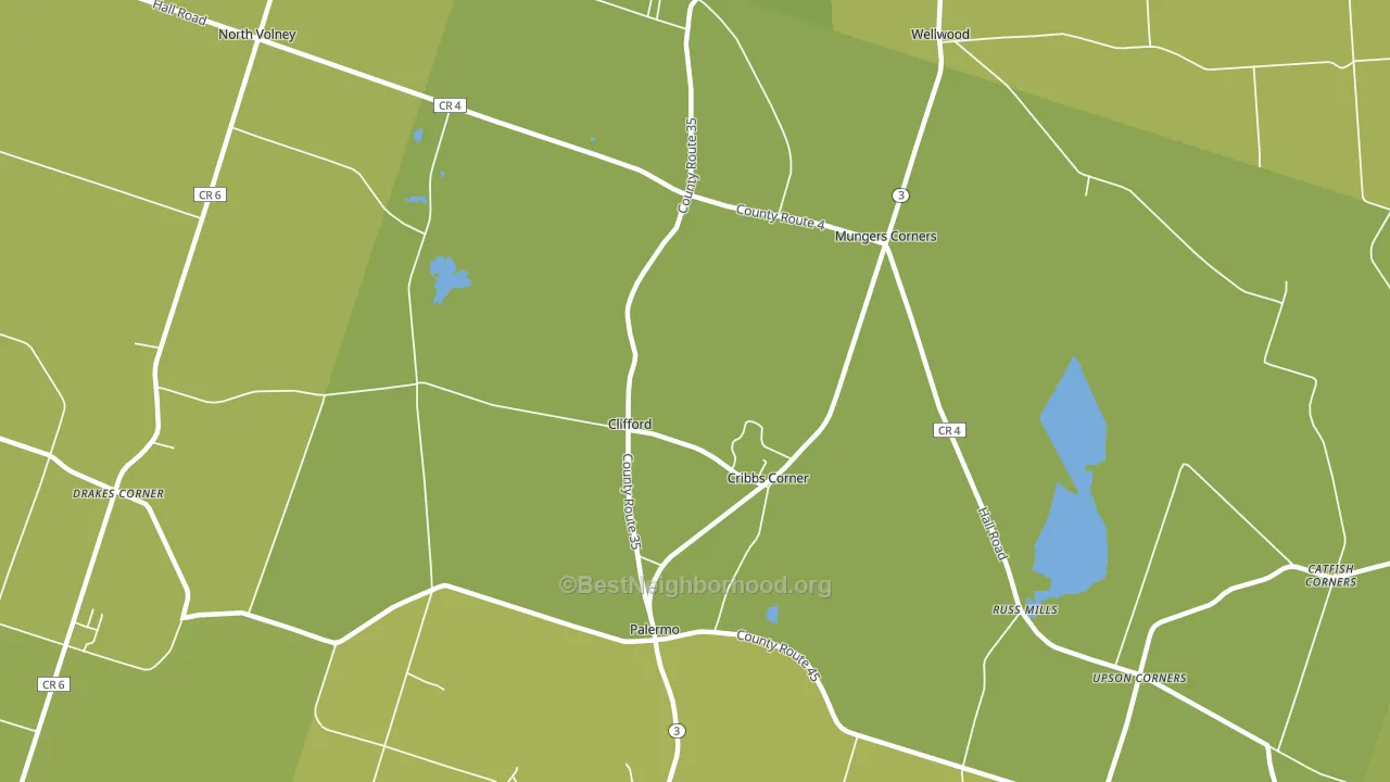 Clifford, NY block-group voter-turnout map