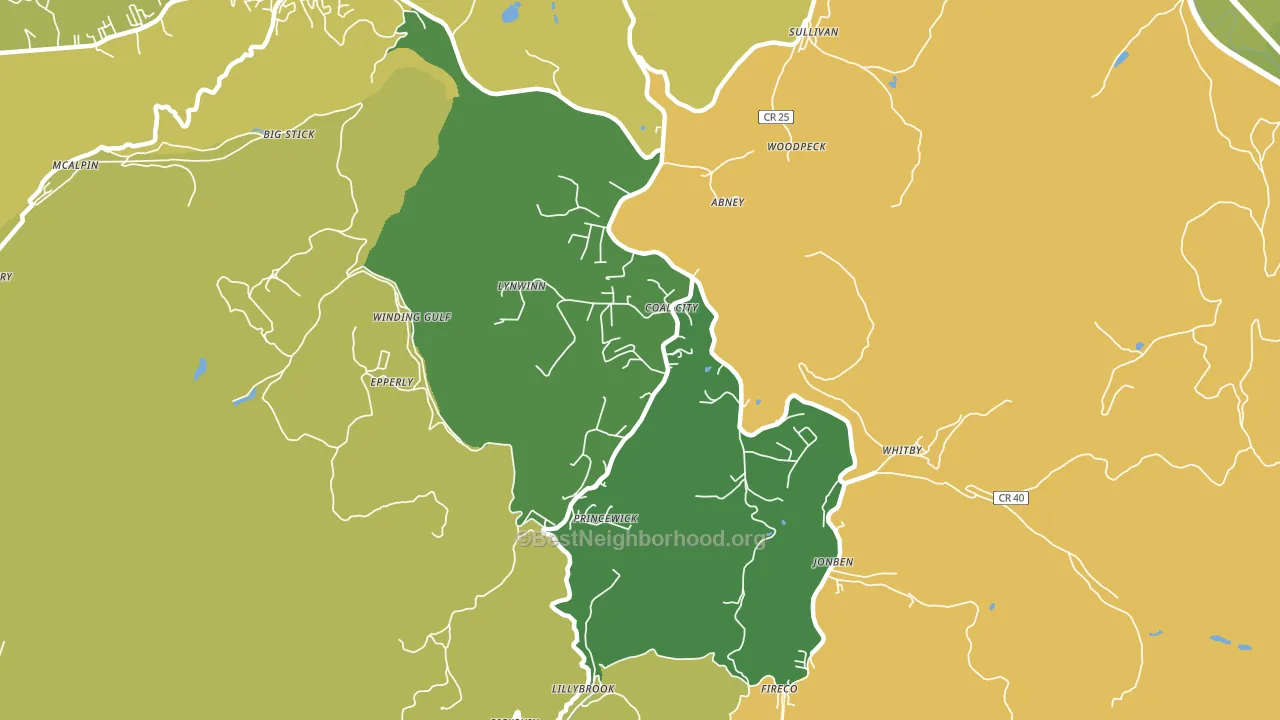 Coal City, WV block-group voter-turnout map