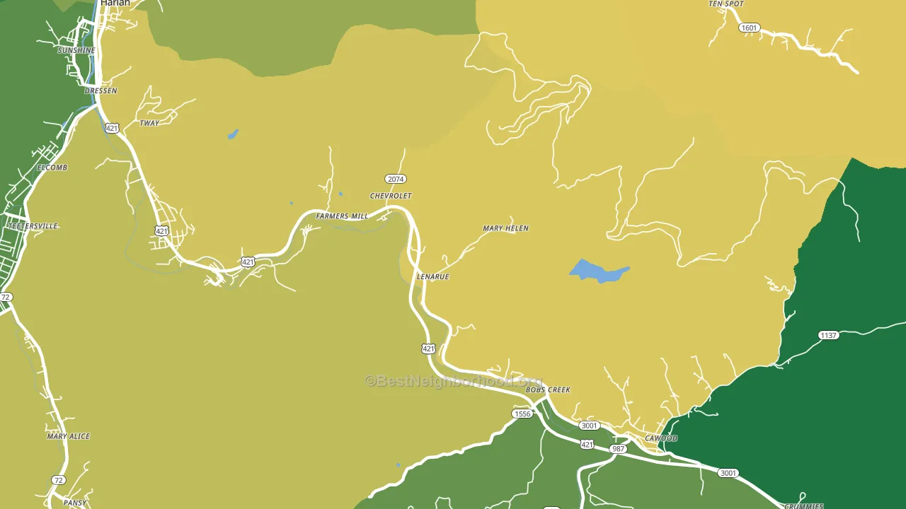 Coalgood, KY block-group voter-turnout map