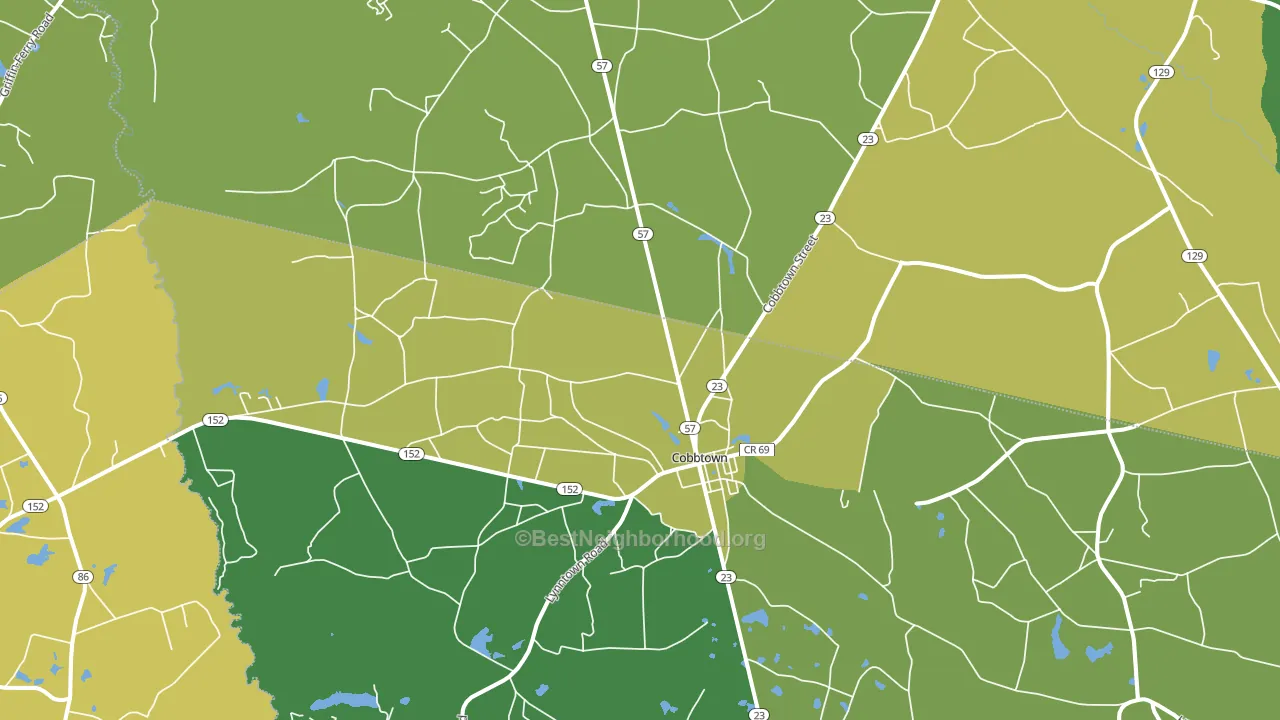 Cobbtown, GA block-group voter-turnout map