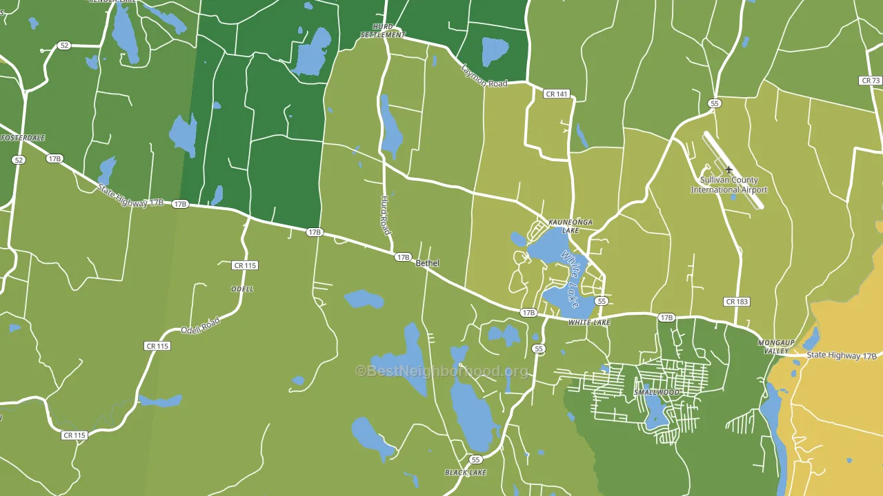Cochecton Center, NY block-group voter-turnout map