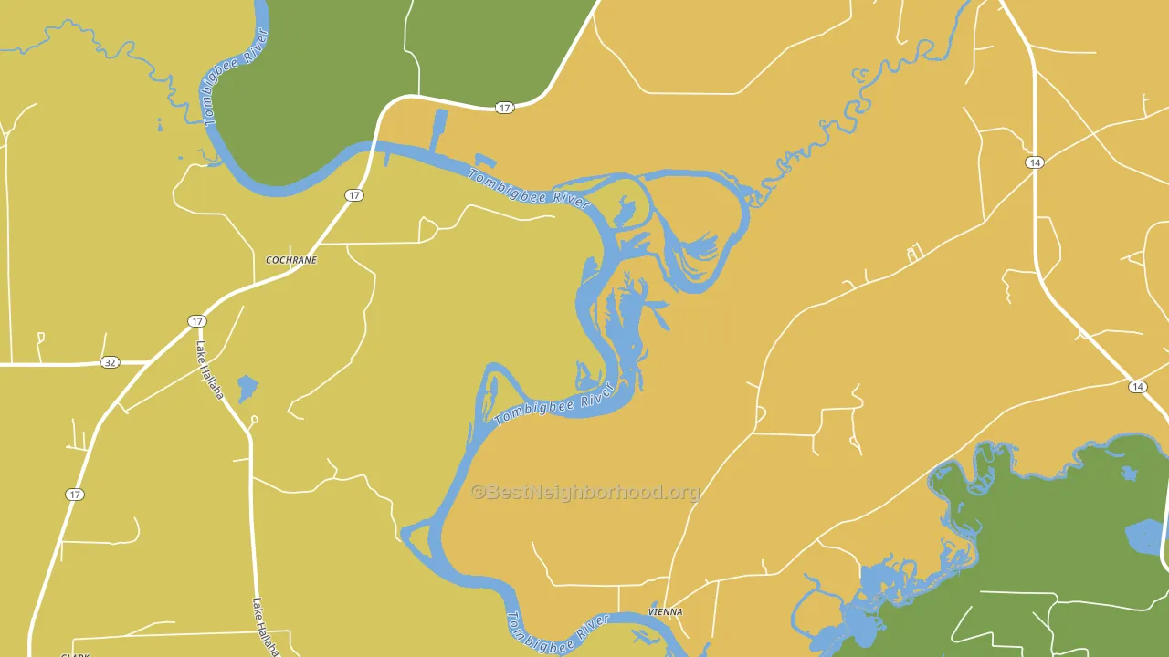 Cochrane, AL block-group voter-turnout map