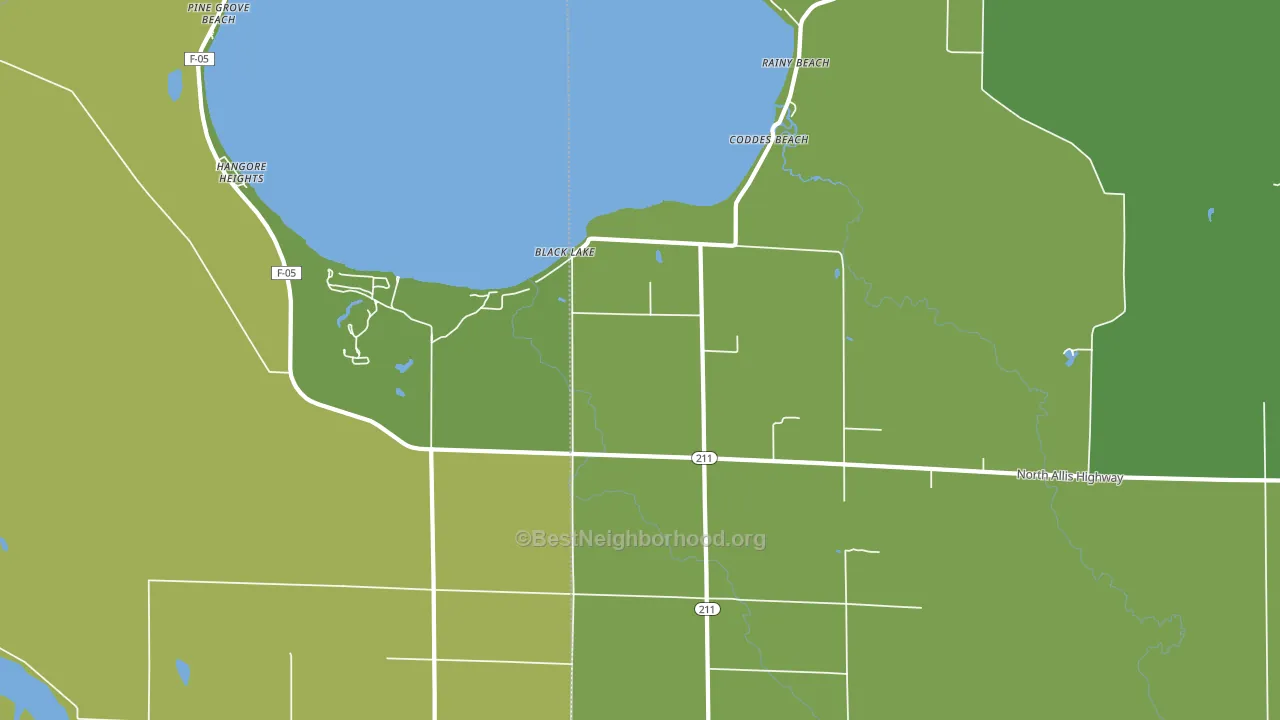 Coddes Beach, MI block-group voter-turnout map