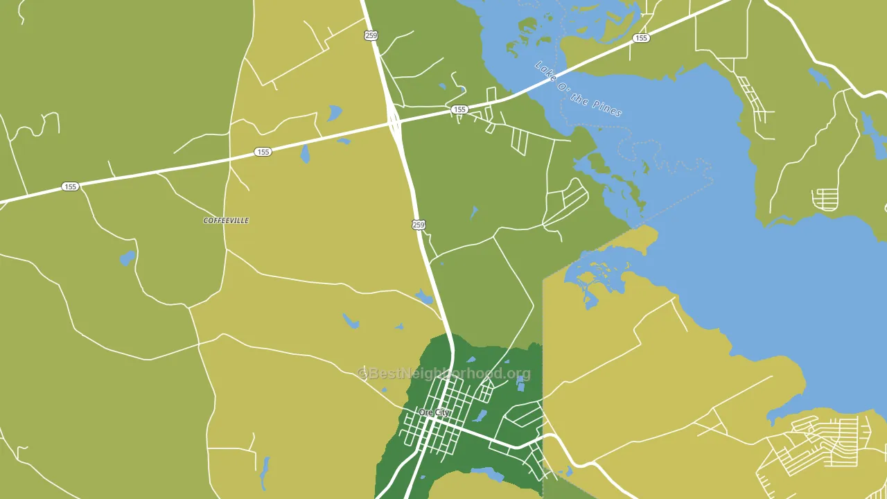 Coffeeville, TX block-group voter-turnout map