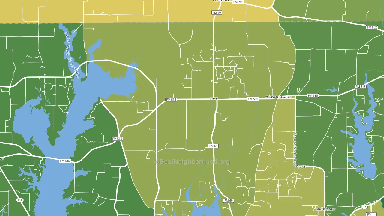 Coke, TX block-group voter-turnout map