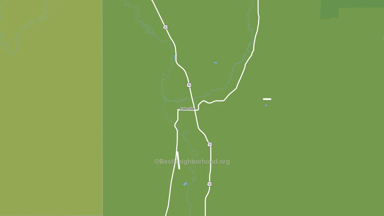 Cokeville, WY block-group voter-turnout map