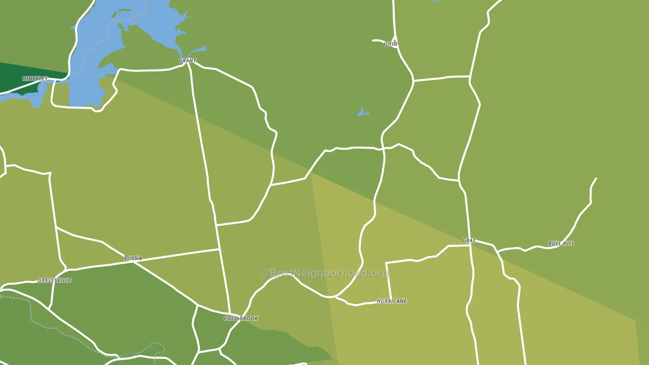 Cold Brook, NY block-group voter-turnout map
