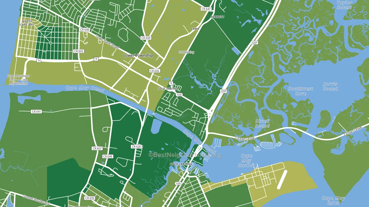 Cold Spring, NJ block-group voter-turnout map