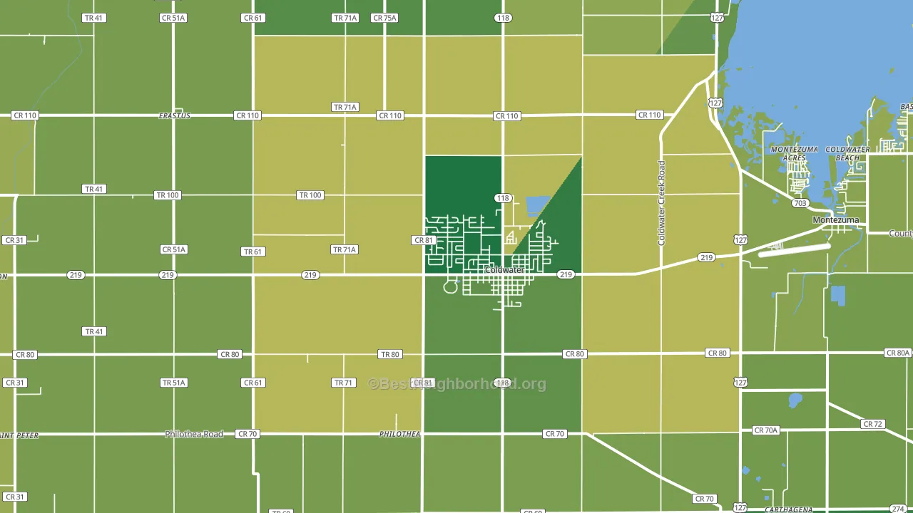 Coldwater, OH block-group voter-turnout map
