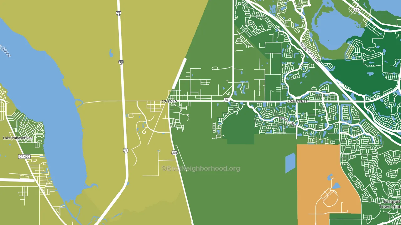 Coleman, FL block-group voter-turnout map