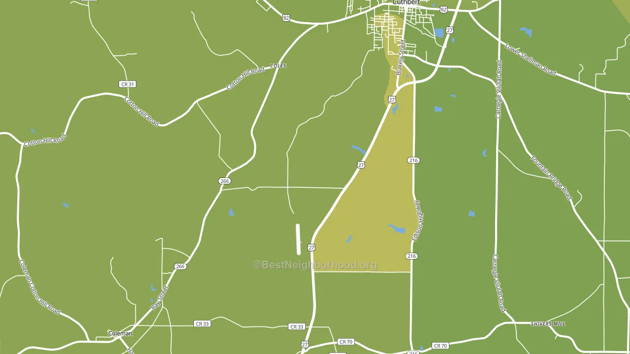 Coleman, GA block-group voter-turnout map