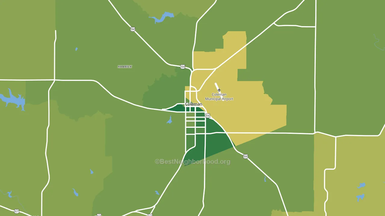 Coleman, TX block-group voter-turnout map