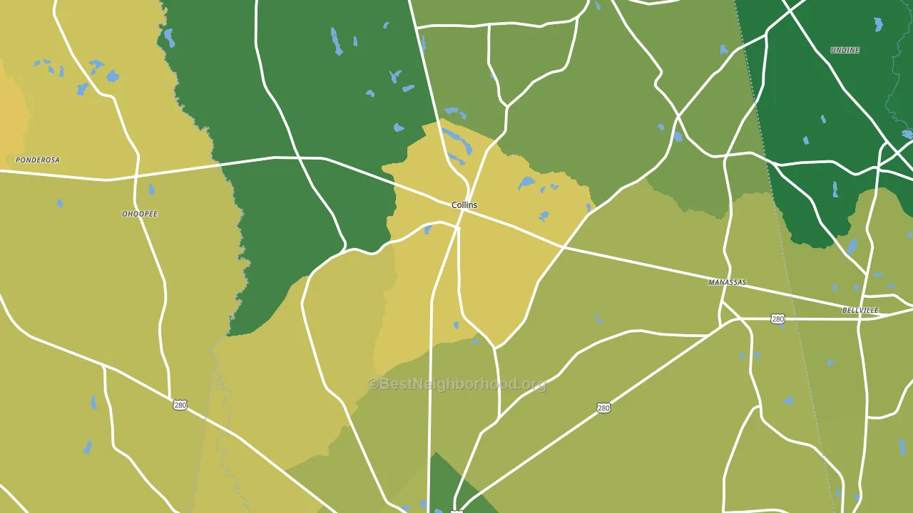 Collins, GA block-group voter-turnout map