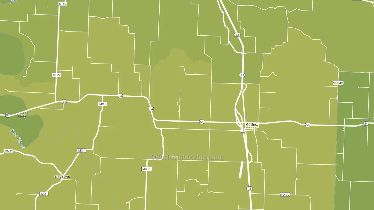 Collins, MO block-group voter-turnout map