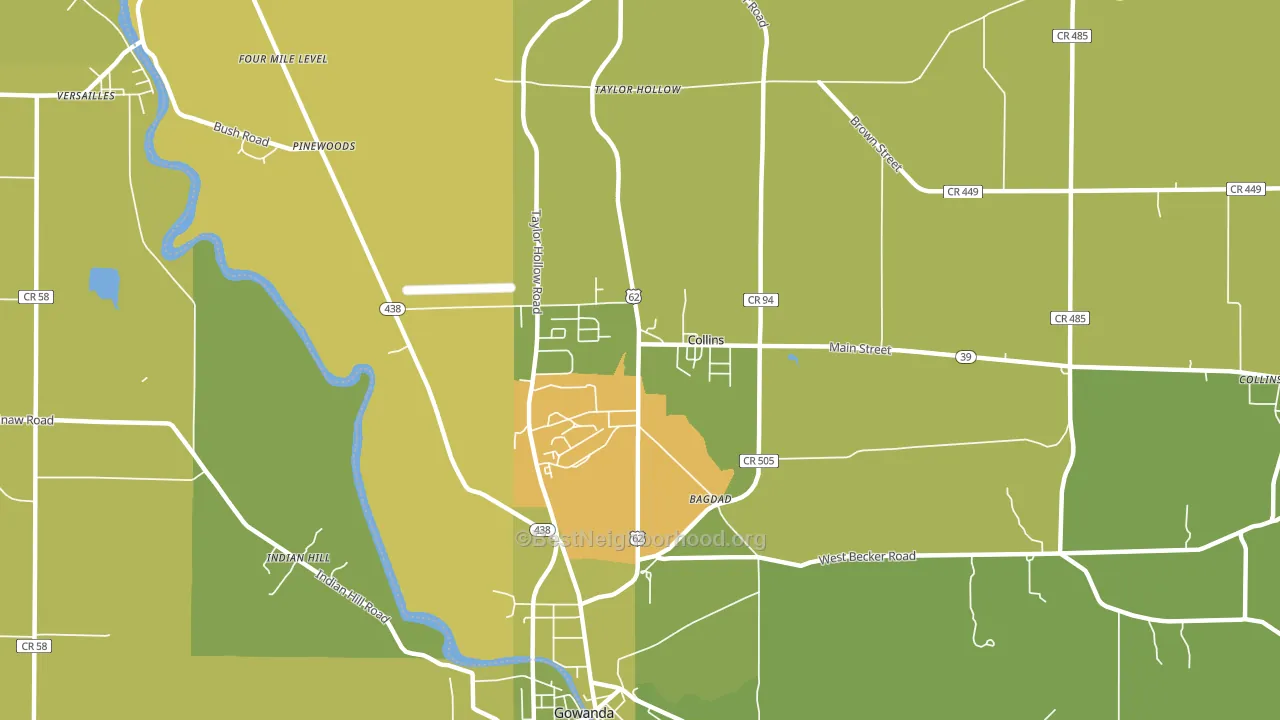 Collins, NY block-group voter-turnout map