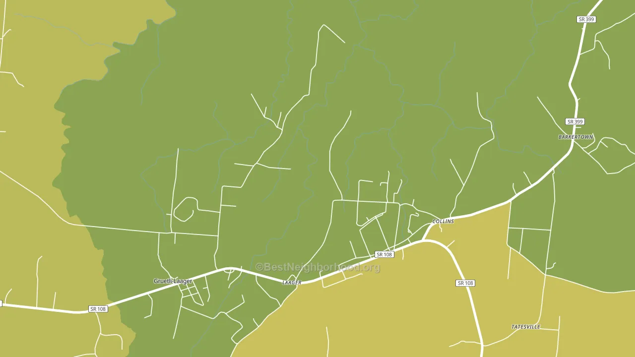 Collins, TN block-group voter-turnout map