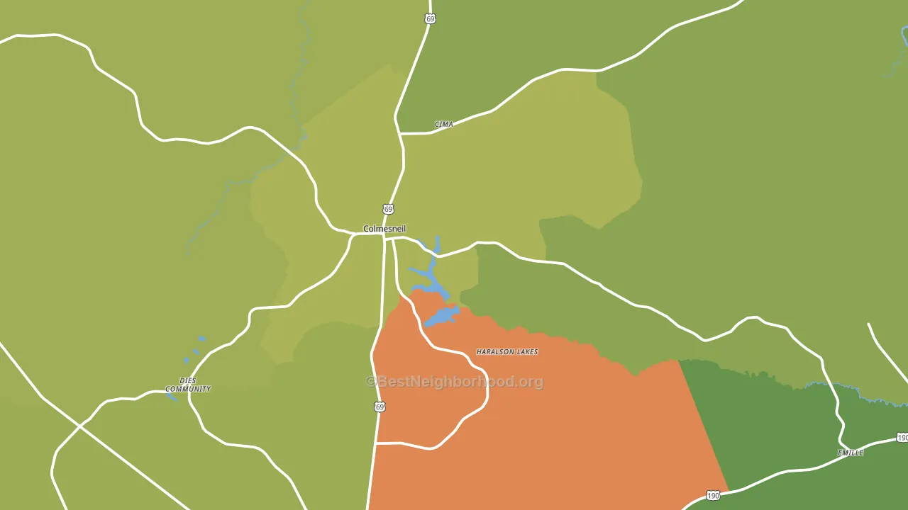 Colmesneil, TX block-group voter-turnout map