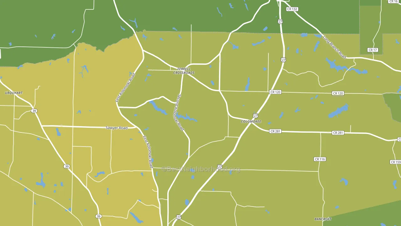 Colomokee, GA block-group voter-turnout map