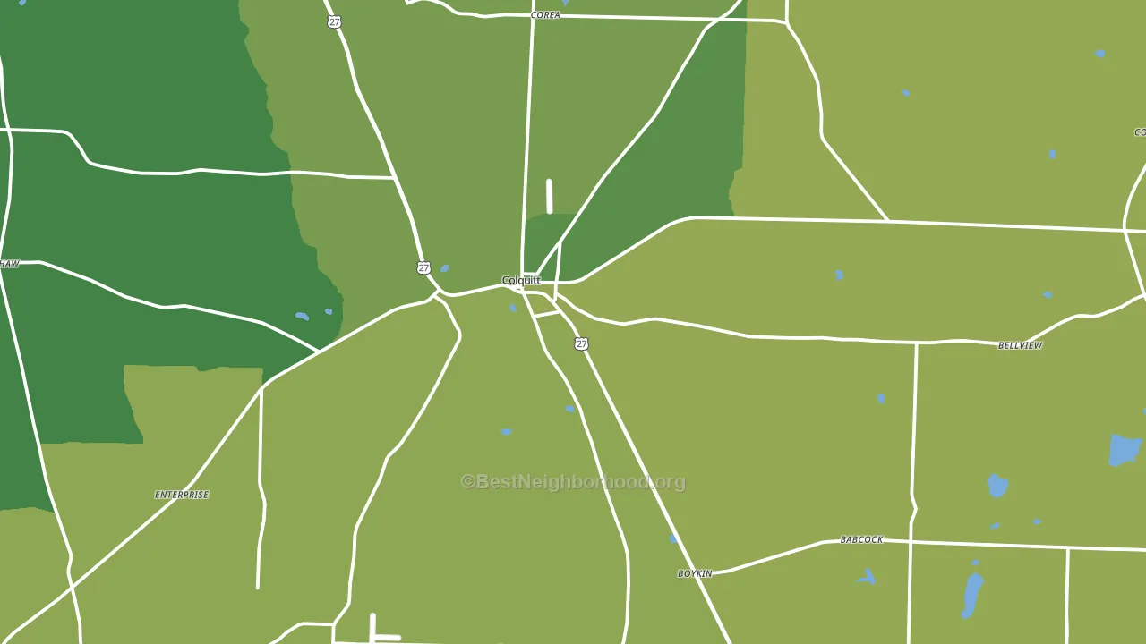 Colquitt, GA block-group voter-turnout map