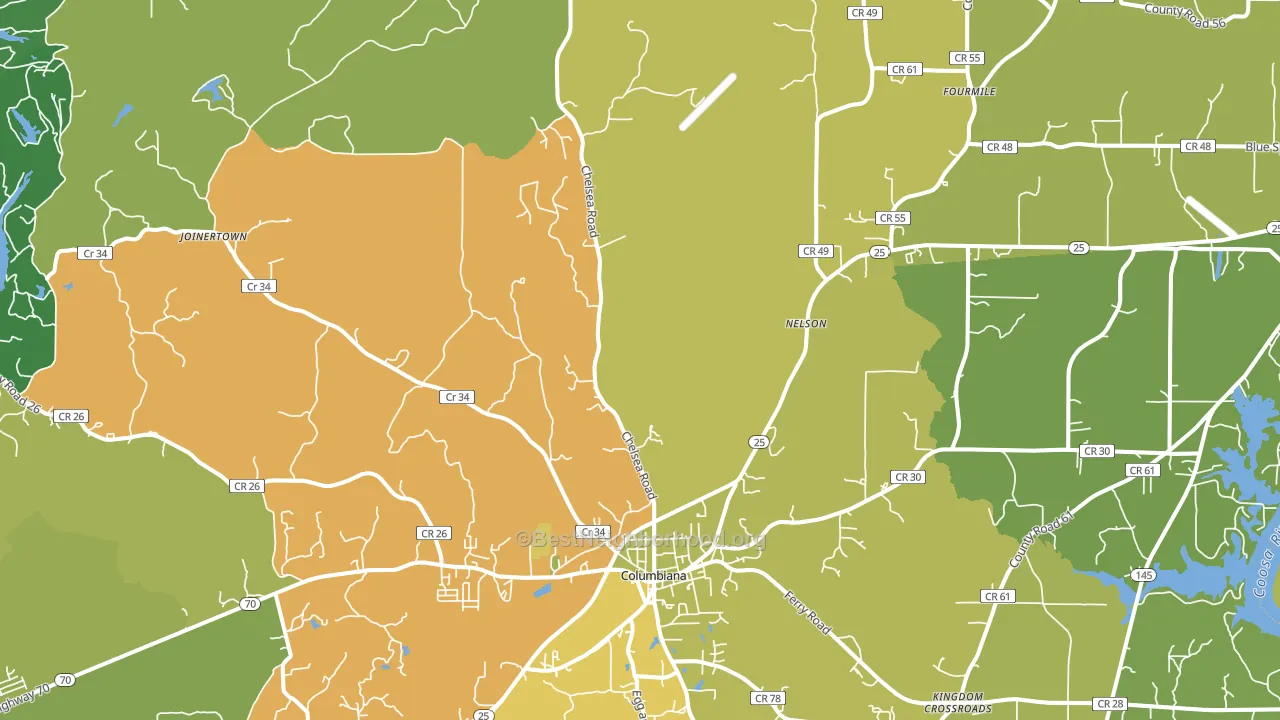 Columbiana, AL block-group voter-turnout map