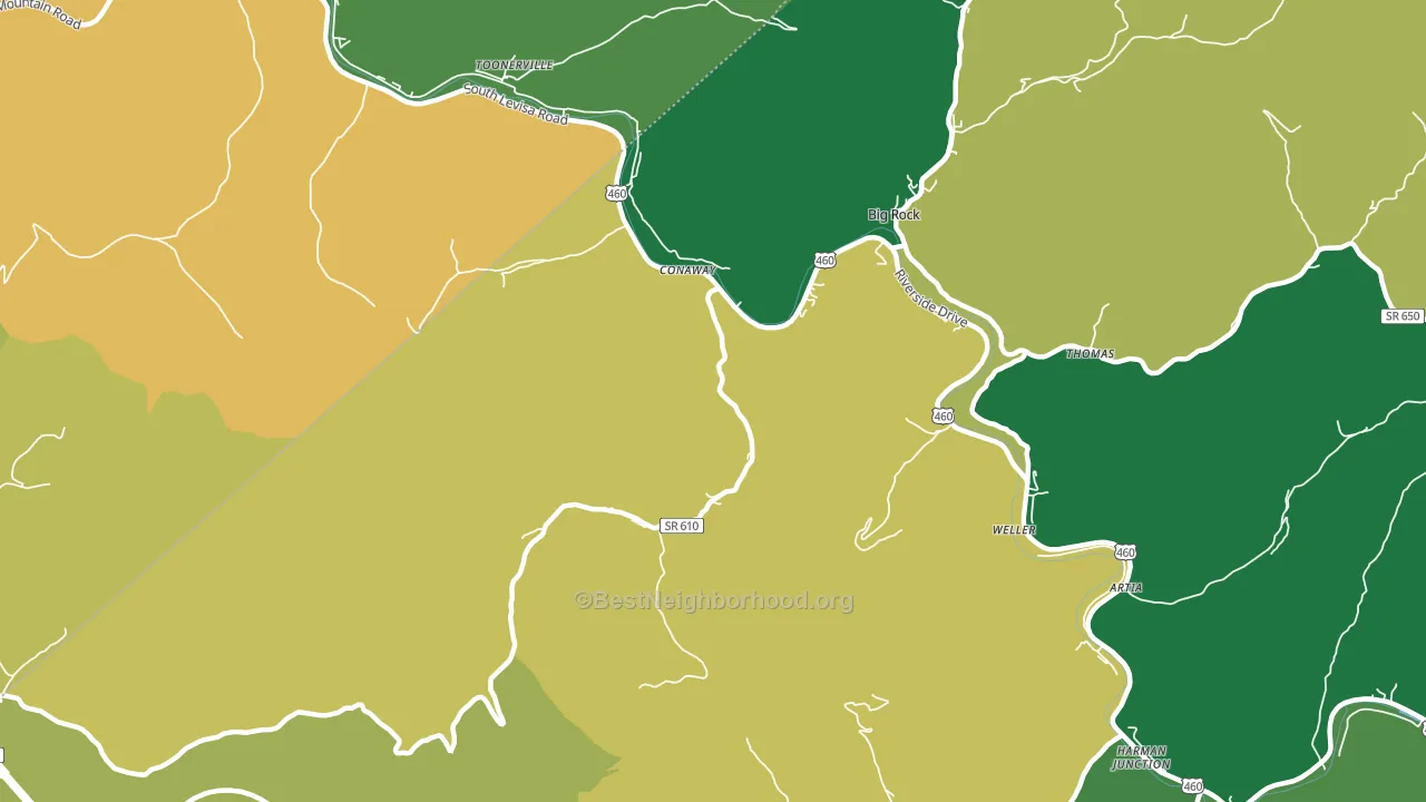 Conaway, VA block-group voter-turnout map