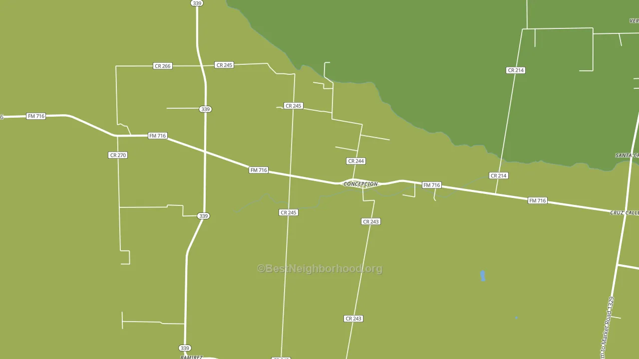 Concepcion, TX block-group voter-turnout map