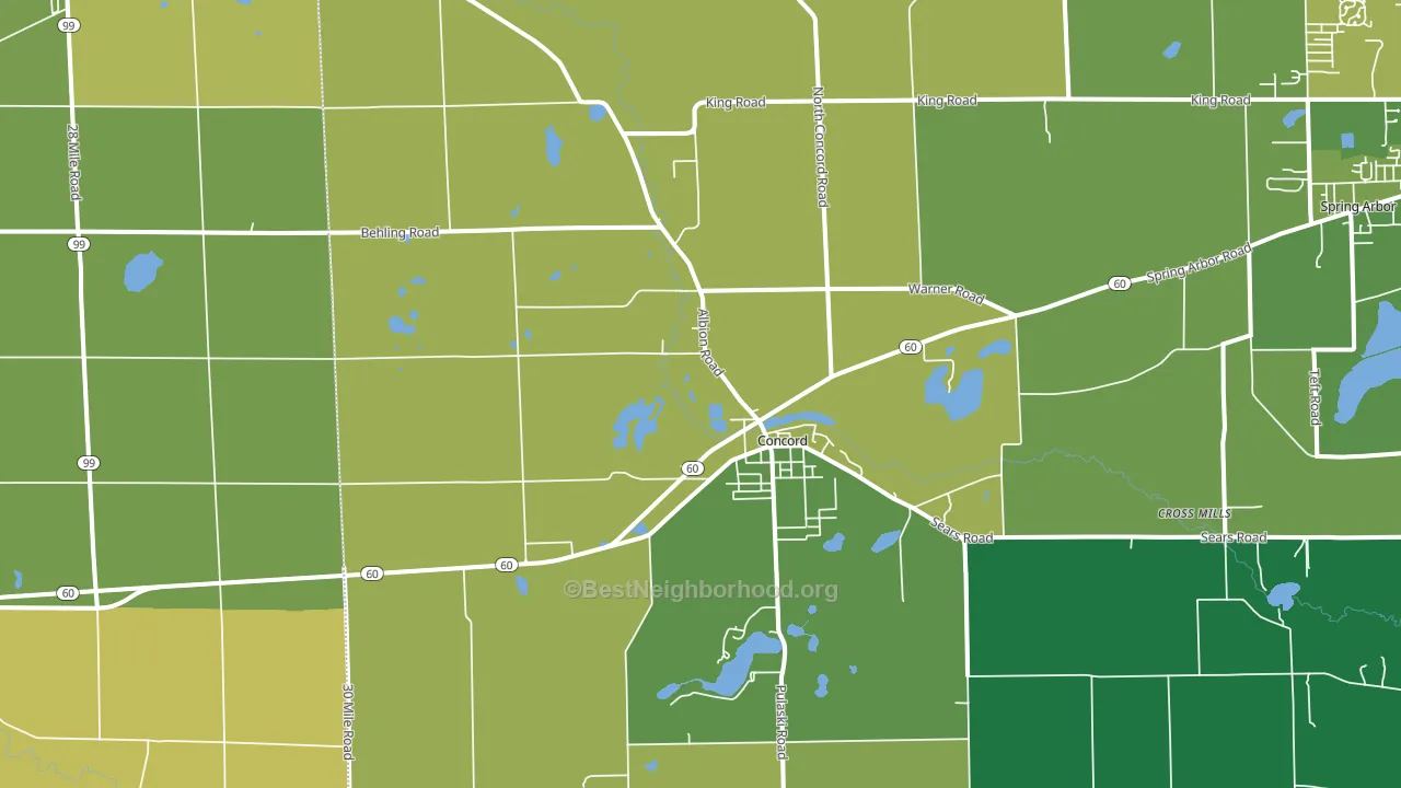 Concord, MI block-group voter-turnout map