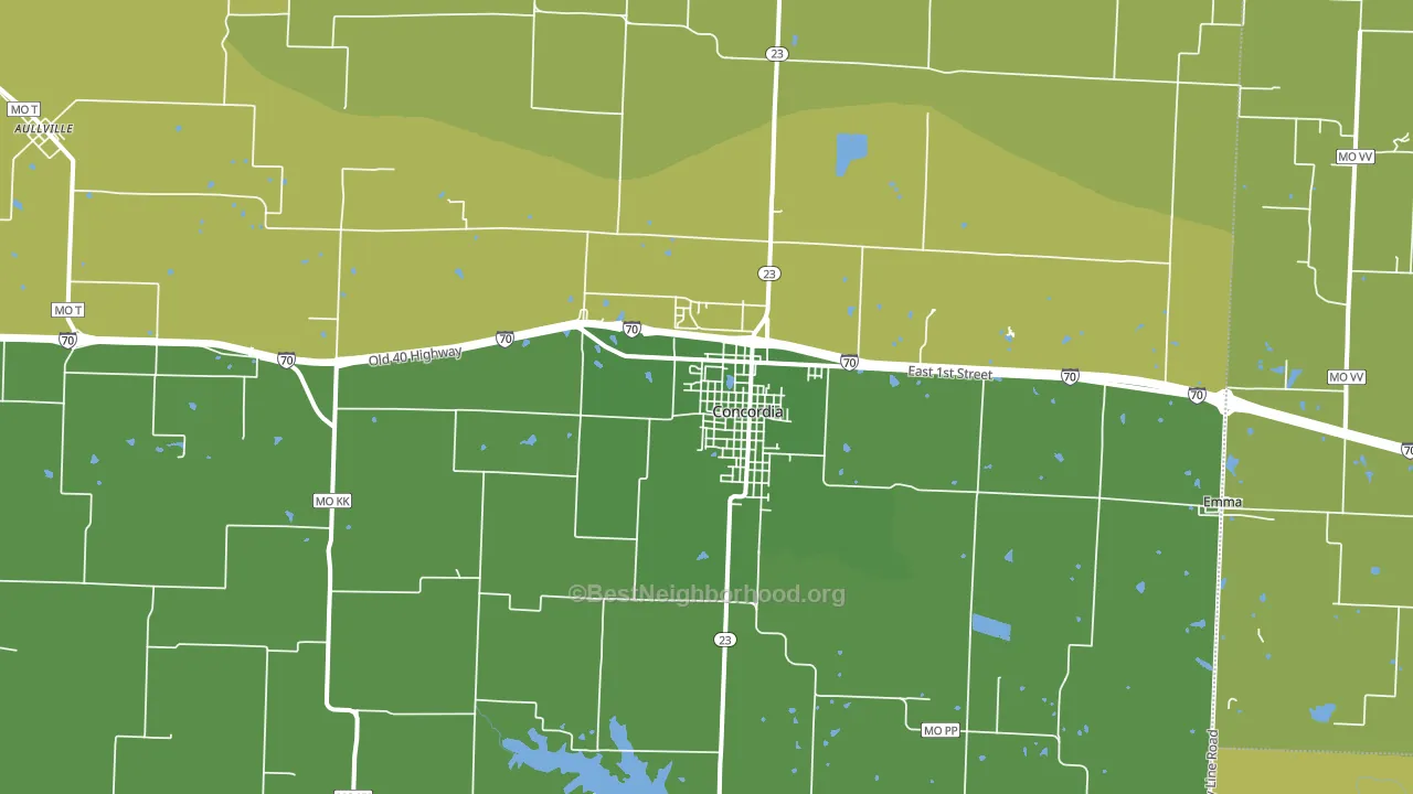 Concordia, MO block-group voter-turnout map