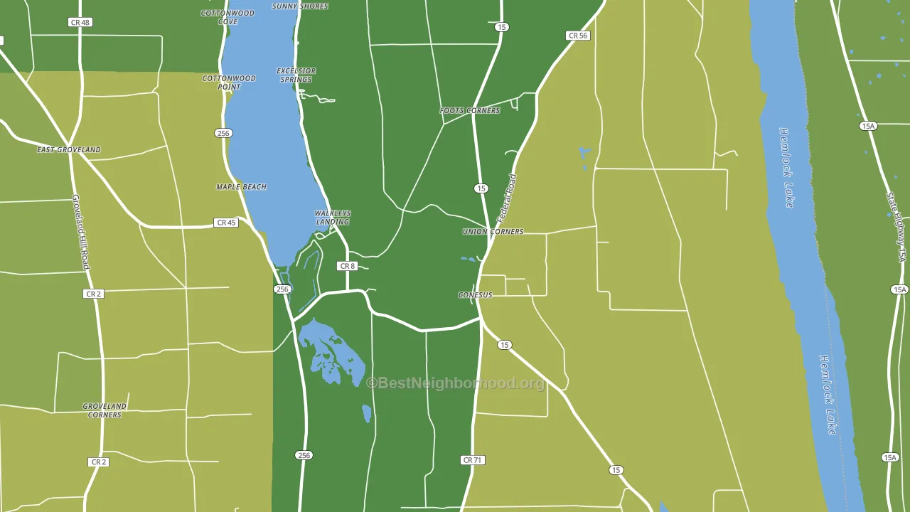 Conesus, NY block-group voter-turnout map