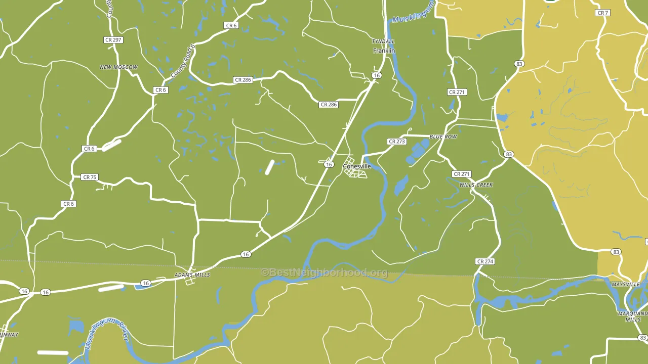 Conesville, OH block-group voter-turnout map
