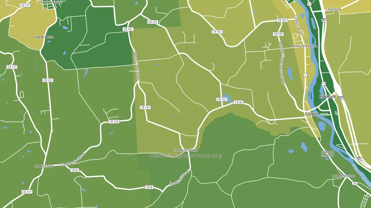 Conklin Forks, NY block-group voter-turnout map