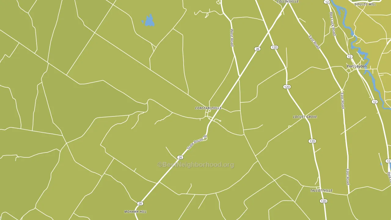 Constableville, NY block-group voter-turnout map