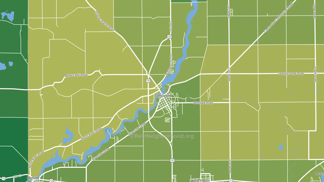 Constantine, MI block-group voter-turnout map