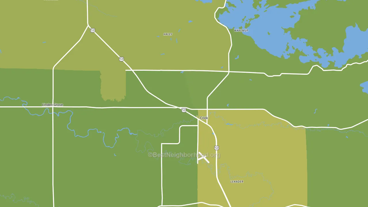 Cook, MN block-group voter-turnout map
