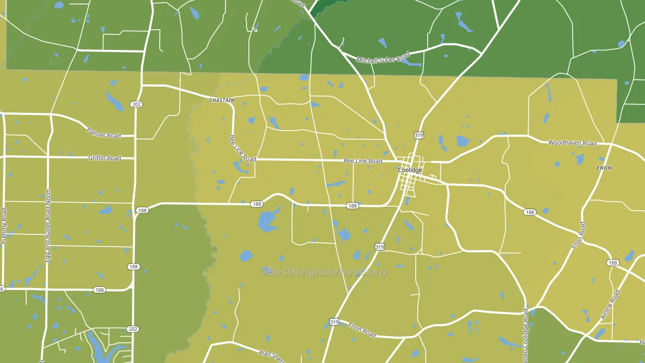 Coolidge, GA block-group voter-turnout map