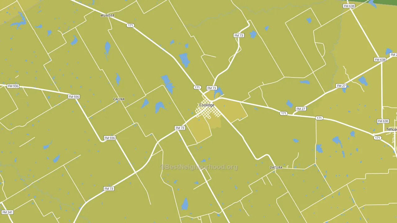 Coolidge, TX block-group voter-turnout map