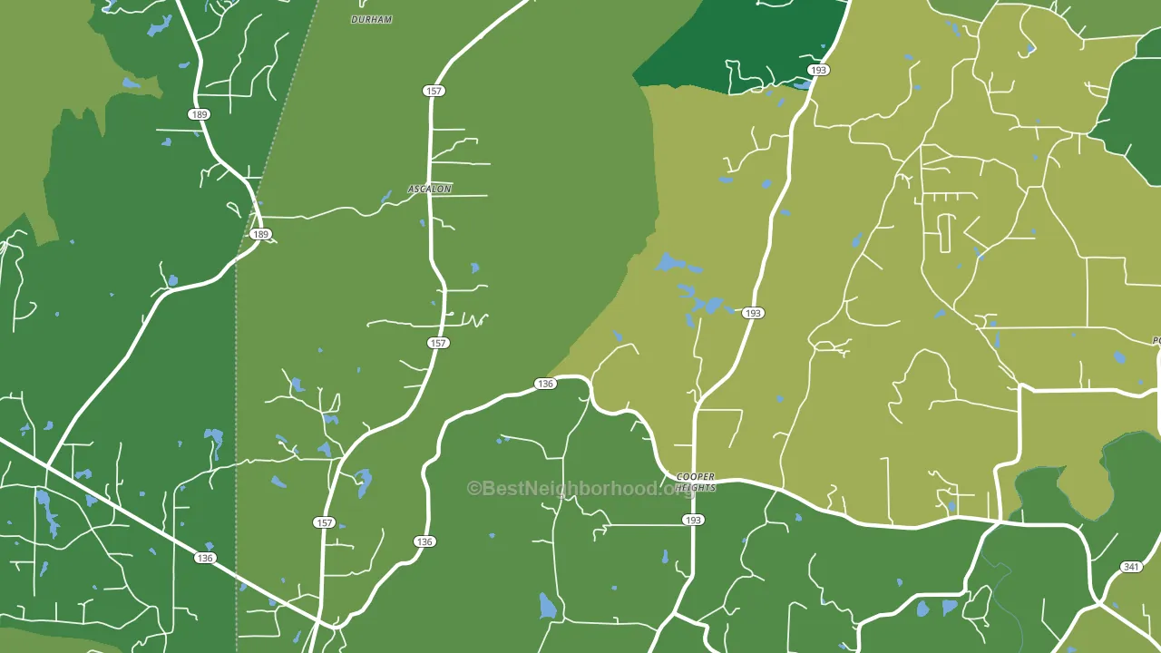 Cooper Heights, GA block-group voter-turnout map