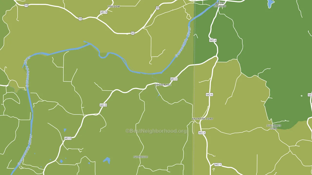 Cooper Hill, MO block-group voter-turnout map